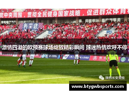 激情四溢的欧预赛球场绽放精彩瞬间 球迷热情欢呼不停
