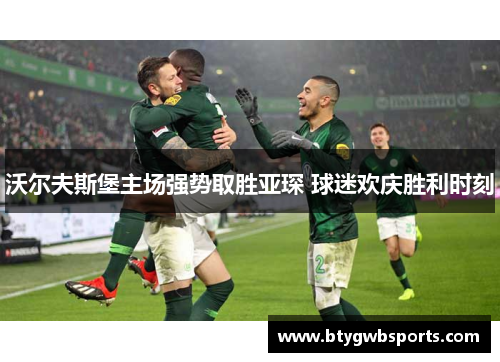 沃尔夫斯堡主场强势取胜亚琛 球迷欢庆胜利时刻