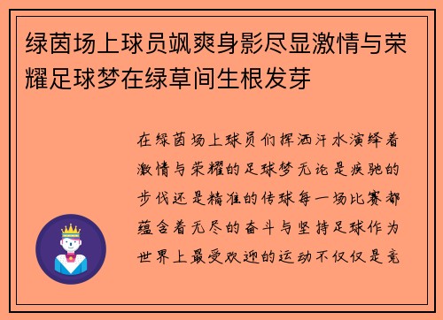 绿茵场上球员飒爽身影尽显激情与荣耀足球梦在绿草间生根发芽
