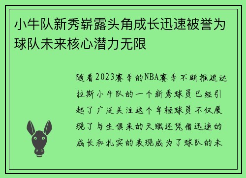 小牛队新秀崭露头角成长迅速被誉为球队未来核心潜力无限