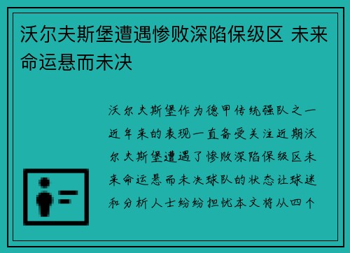 沃尔夫斯堡遭遇惨败深陷保级区 未来命运悬而未决