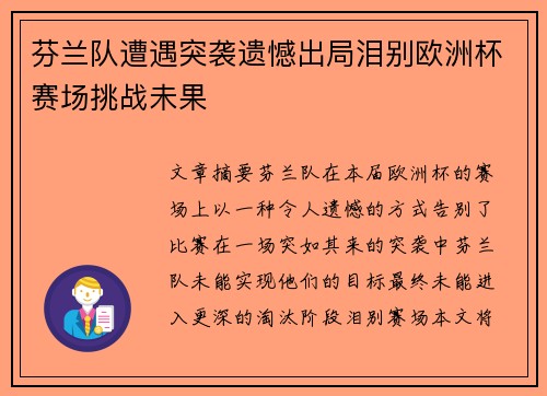 芬兰队遭遇突袭遗憾出局泪别欧洲杯赛场挑战未果